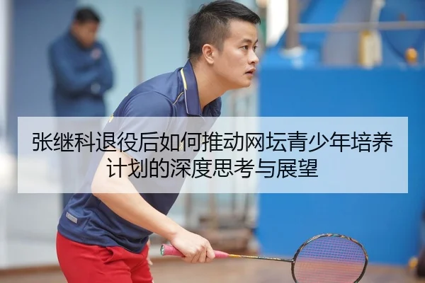 张继科退役后如何推动网坛青少年培养计划的深度思考与展望